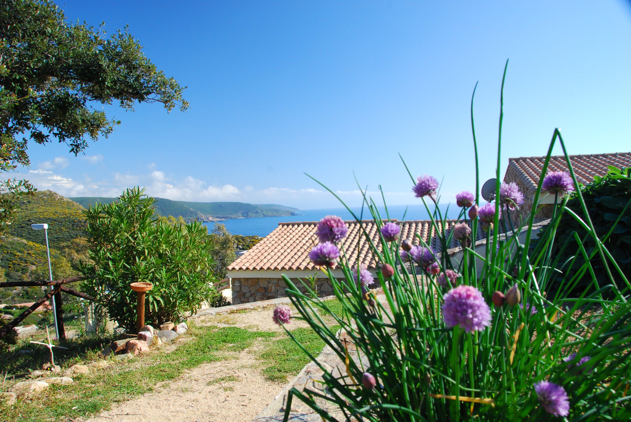 Esplorare la splendida Costa Verde in Sardegna: parti dalle case vacanza del residence “Is Cannisonis”